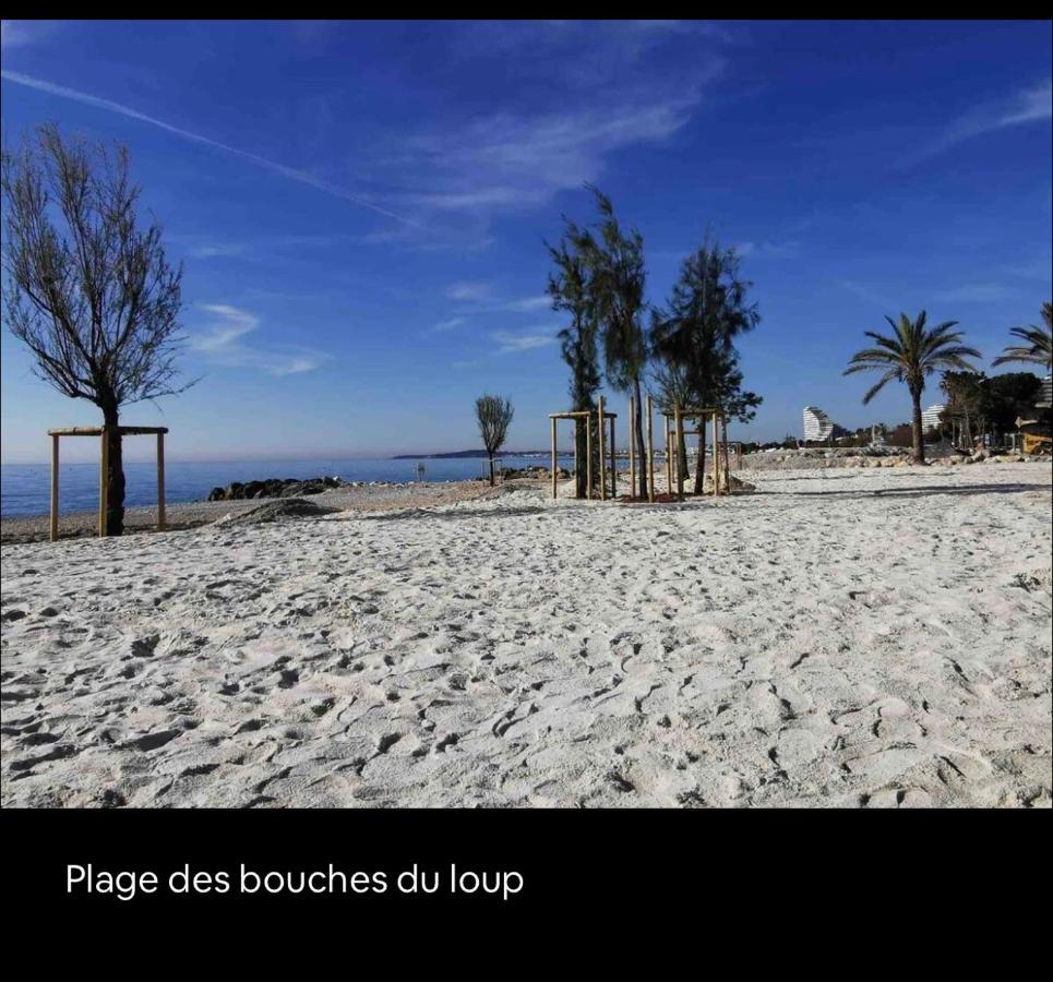 Loft Marina Direct Plage Lejlighed Villeneuve-Loubet Eksteriør billede
