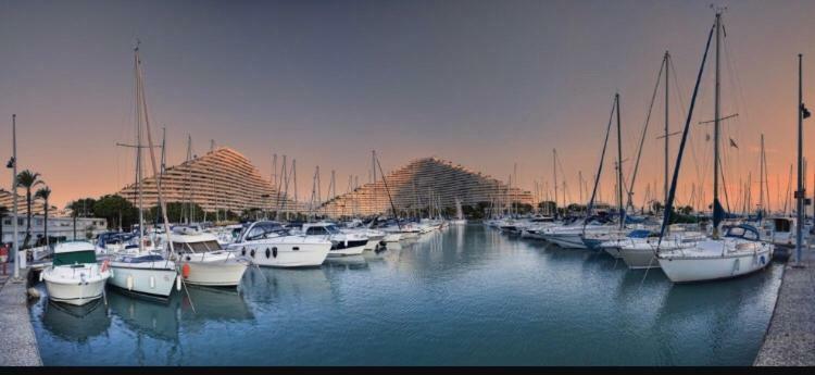 Loft Marina Direct Plage Lejlighed Villeneuve-Loubet Eksteriør billede